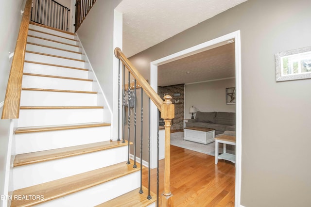 4301 Mckamey Rd, Knoxville, TN 37921 - photo 17