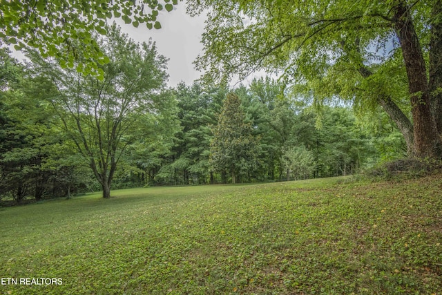 4301 Mckamey Rd, Knoxville, TN 37921 - photo 44
