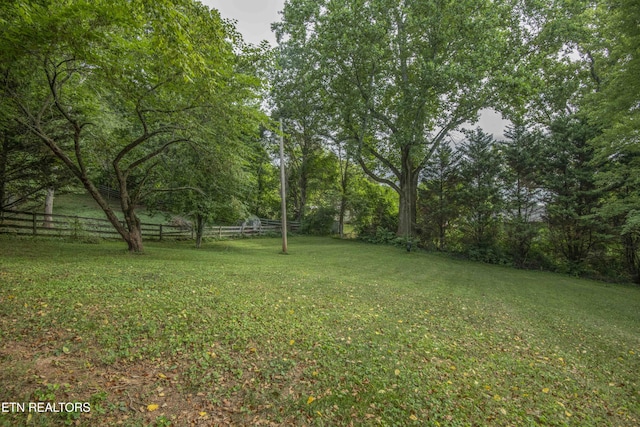 4301 Mckamey Rd, Knoxville, TN 37921 - photo 45