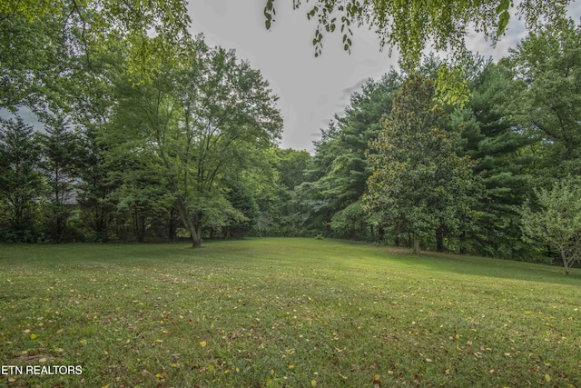 4301 Mckamey Rd, Knoxville, TN 37921 - photo 46