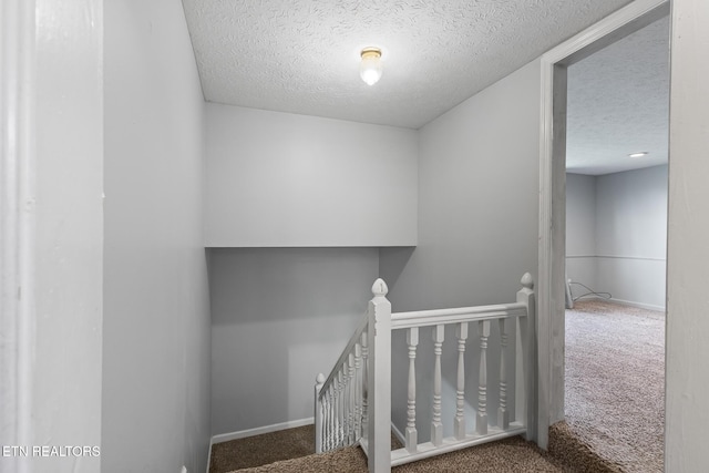 675 Pinhook Rd, Calhoun, TN 37309 - photo 20