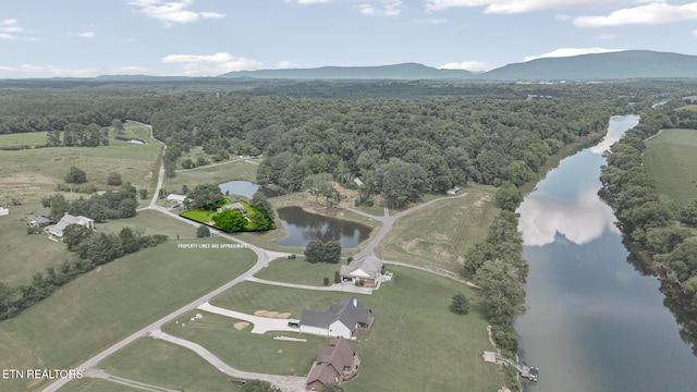 675 Pinhook Rd, Calhoun, TN 37309 - photo 38