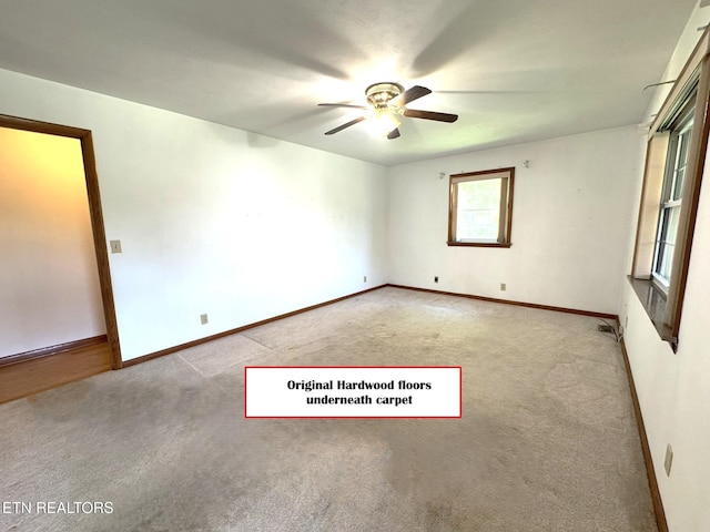 340 Maple Hill Rd, Loudon, TN 37774 - photo 5