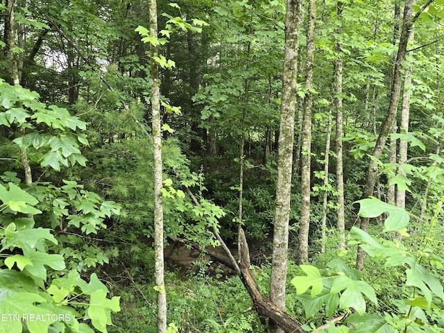 LOT244 Walking Horse Dr, Jamestown, TN 38556 - photo 6