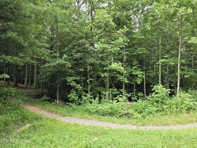 LOT244 Walking Horse Dr, Jamestown, TN 38556 - photo 7