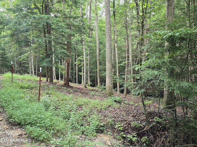 LOT244 Walking Horse Dr, Jamestown, TN 38556 - photo 9