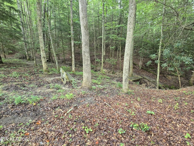 LOT244 Walking Horse Dr, Jamestown, TN 38556 - photo 10