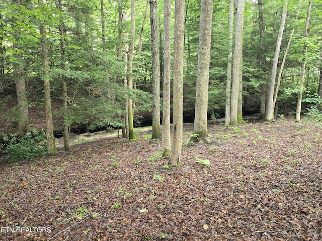 LOT244 Walking Horse Dr, Jamestown, TN 38556 - photo 11