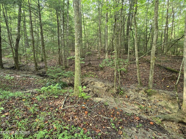 LOT244 Walking Horse Dr, Jamestown, TN 38556 - photo 15