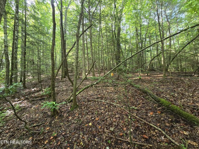 LOT244 Walking Horse Dr, Jamestown, TN 38556 - photo 20