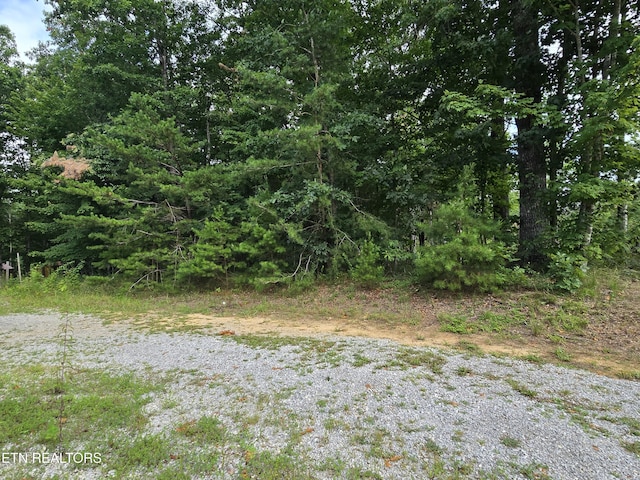 LOT244 Walking Horse Dr, Jamestown, TN 38556 - photo 2
