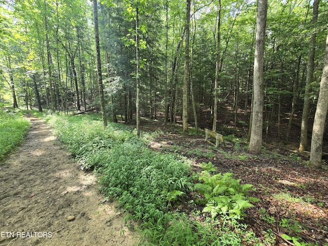 LOT244 Walking Horse Dr, Jamestown, TN 38556 - photo 22