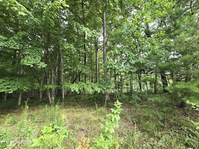LOT244 Walking Horse Dr, Jamestown, TN 38556 - photo 3