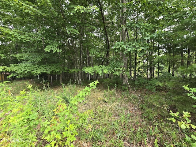 LOT244 Walking Horse Dr, Jamestown, TN 38556 - photo 4