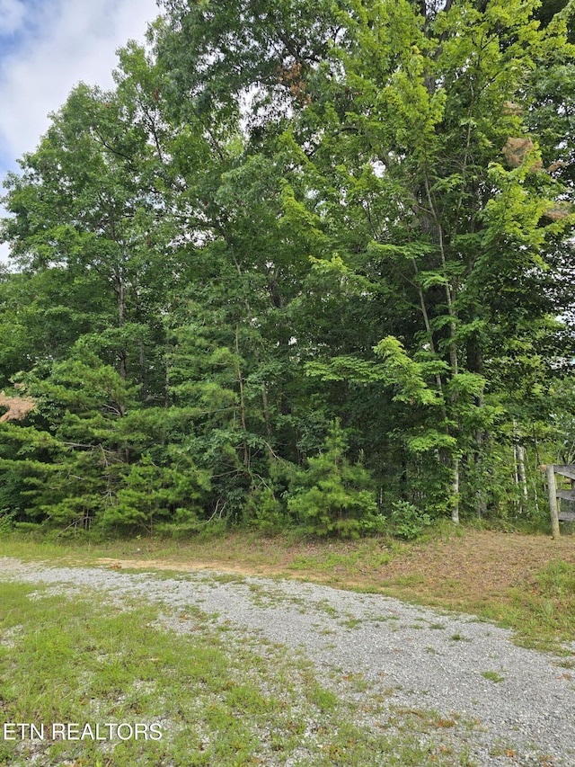 LOT244 Walking Horse Dr, Jamestown, TN 38556 - photo 1