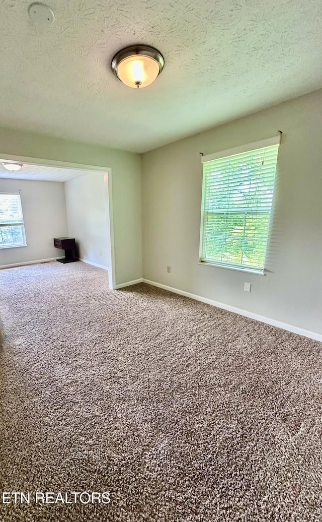 116 Barnes Ln, Strawberry Plains, TN 37871 - photo 18