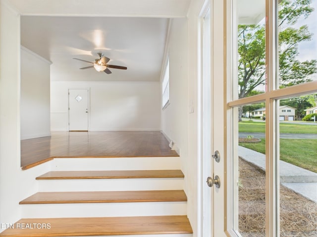 8900 Carlton Cir, Knoxville, TN 37922 - photo 6