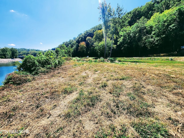 107 Riggs Chapel Rd, Harriman, TN 37748 - photo 19