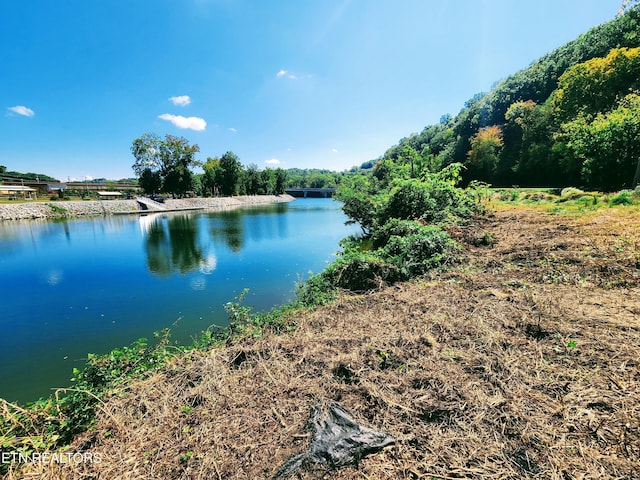 107 Riggs Chapel Rd, Harriman, TN 37748 - photo 8
