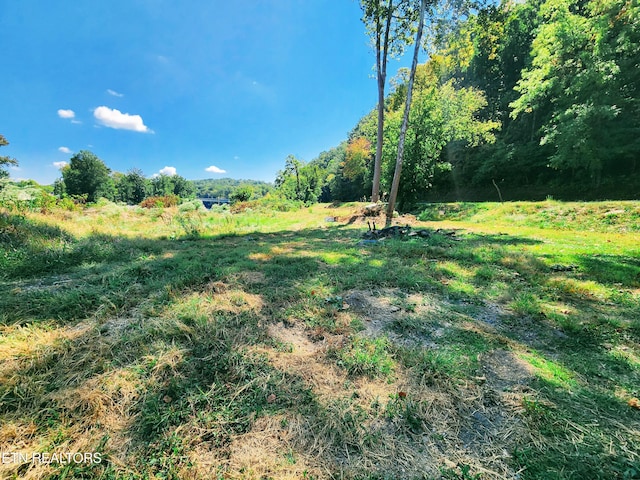 107 Riggs Chapel Rd, Harriman, TN 37748 - photo 7