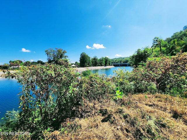 107 Riggs Chapel Rd, Harriman, TN 37748 - photo 9