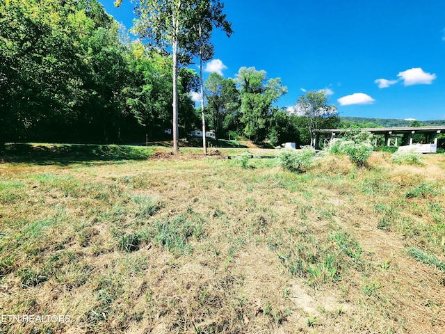 107 Riggs Chapel Rd, Harriman, TN 37748 - photo 21