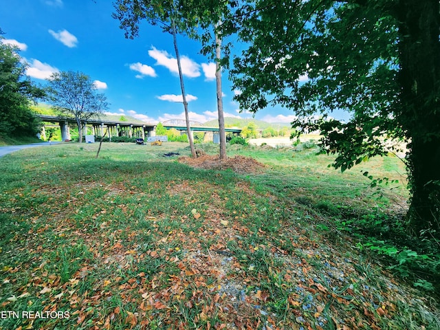 107 Riggs Chapel Rd, Harriman, TN 37748 - photo 22