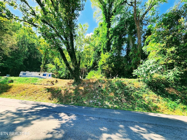 107 Riggs Chapel Rd, Harriman, TN 37748 - photo 24