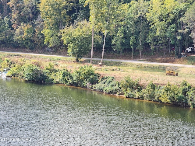 107 Riggs Chapel Rd, Harriman, TN 37748 - photo 3