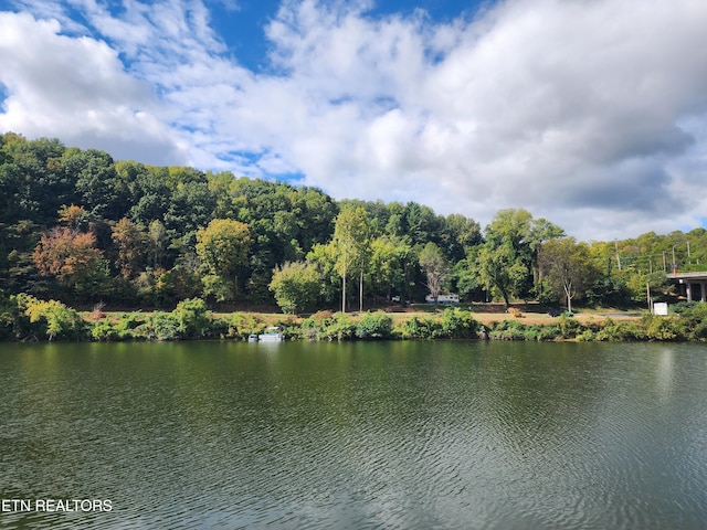 107 Riggs Chapel Rd, Harriman, TN 37748 - photo 4