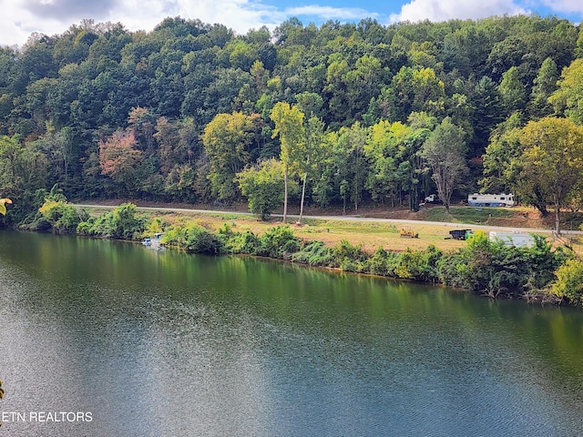 107 Riggs Chapel Rd, Harriman, TN 37748 - photo 32
