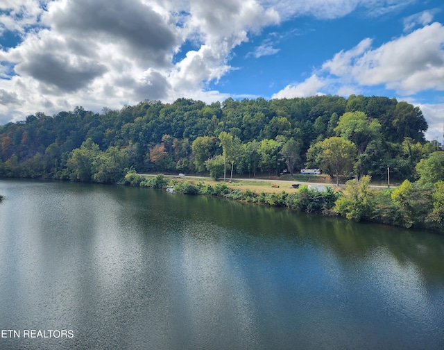 107 Riggs Chapel Rd, Harriman, TN 37748 - photo 33