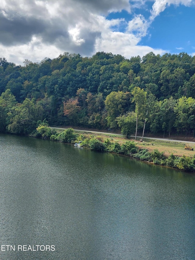 107 Riggs Chapel Rd, Harriman, TN 37748 - photo 35