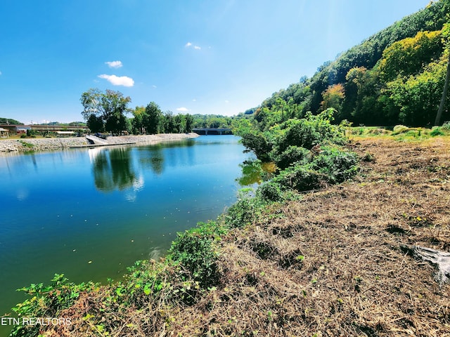 107 Riggs Chapel Rd, Harriman, TN 37748 - photo 40