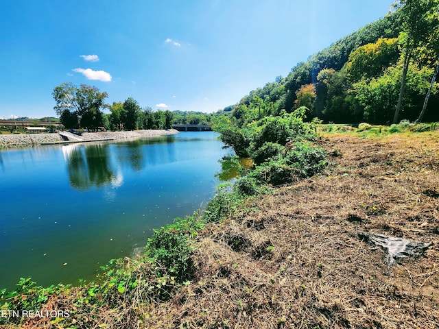 107 Riggs Chapel Rd, Harriman, TN 37748 - photo 42
