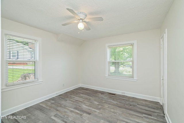 4907 Oakview Rd, Knoxville, TN 37918 - photo 24