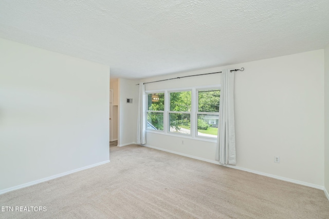 4907 Oakview Rd, Knoxville, TN 37918 - photo 28