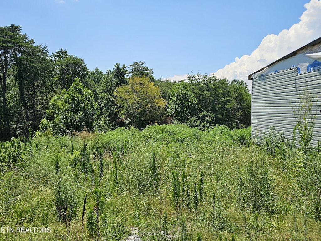 400 Shaddon Rd, Tellico Plains, TN 37385 - photo 2