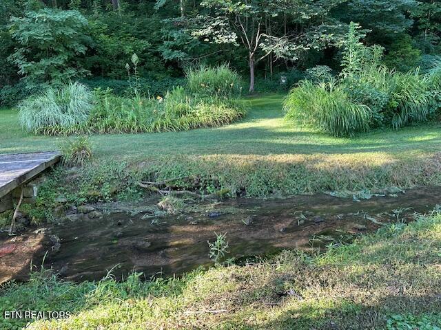 6894 Dr Thomas Walker Rd, Rose Hill, VA 24281 - photo 5
