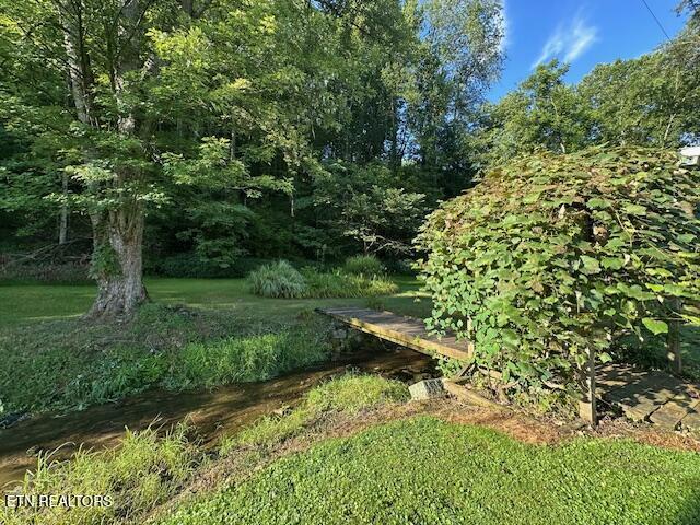 6894 Dr Thomas Walker Rd, Rose Hill, VA 24281 - photo 6