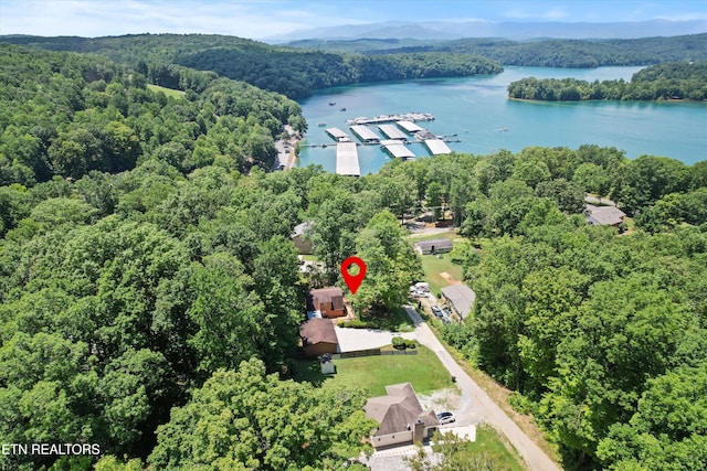 247 Lakeview Ln, Andersonville, TN 37705 - photo 1