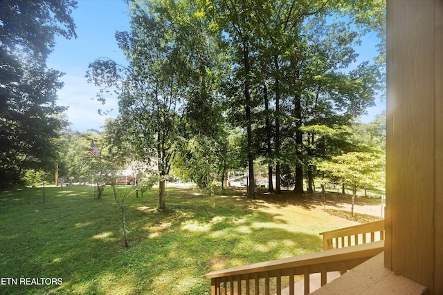 247 Lakeview Ln, Andersonville, TN 37705 - photo 27
