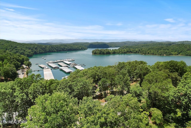 247 Lakeview Ln, Andersonville, TN 37705 - photo 43