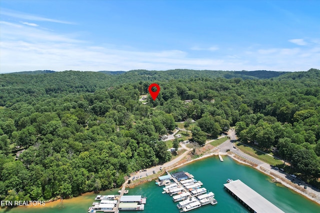 247 Lakeview Ln, Andersonville, TN 37705 - photo 44