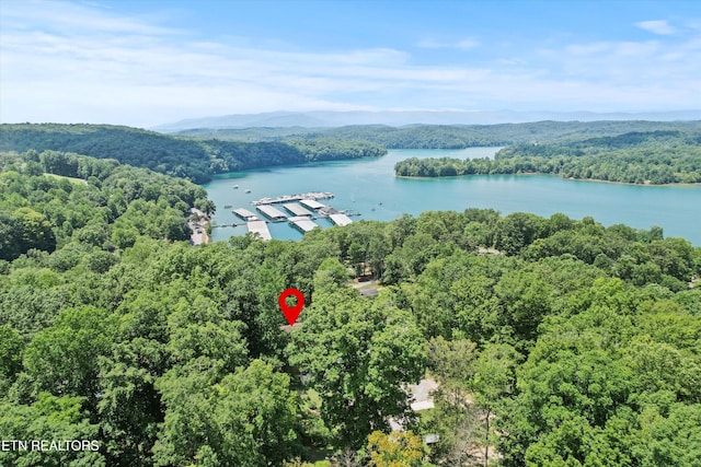 247 Lakeview Ln, Andersonville, TN 37705 - photo 45