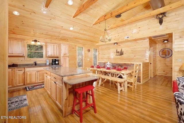 3126 Bear Mountain Ln, Sevierville, TN 37876 - photo 9