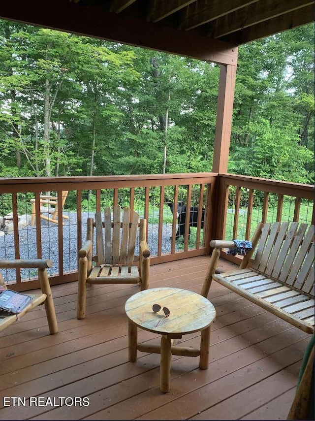 3126 Bear Mountain Ln, Sevierville, TN 37876 - photo 39
