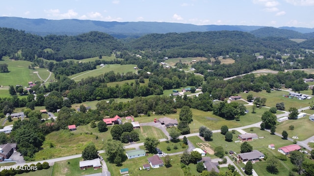 299 Main St, Bean Station, TN 37708 - photo 3