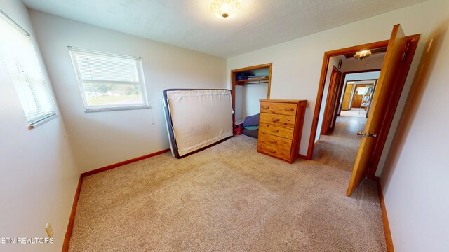 299 Main St, Bean Station, TN 37708 - photo 23