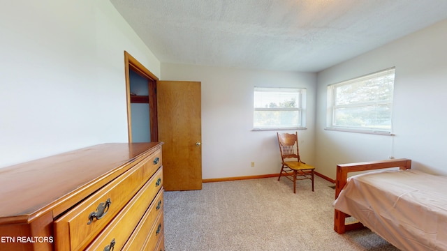 299 Main St, Bean Station, TN 37708 - photo 26